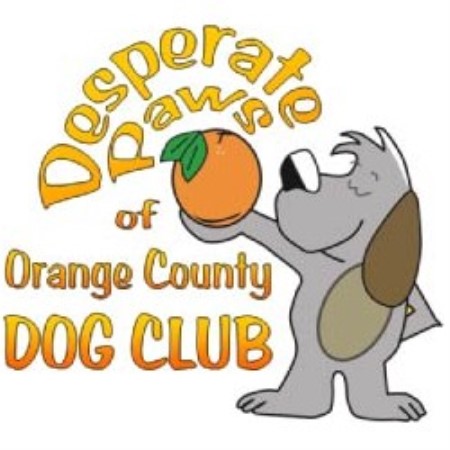 Dog Club