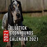 2021 Bluetick Coonhound Calendars