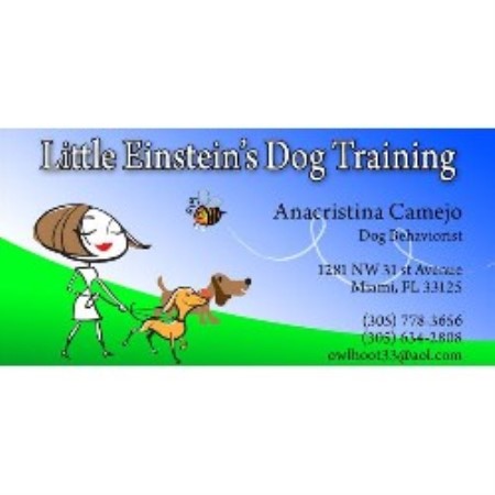 Little Einstein's Dog Training