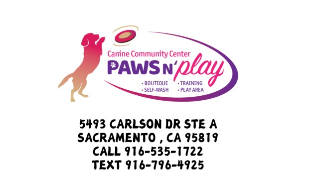 Paws N' Play