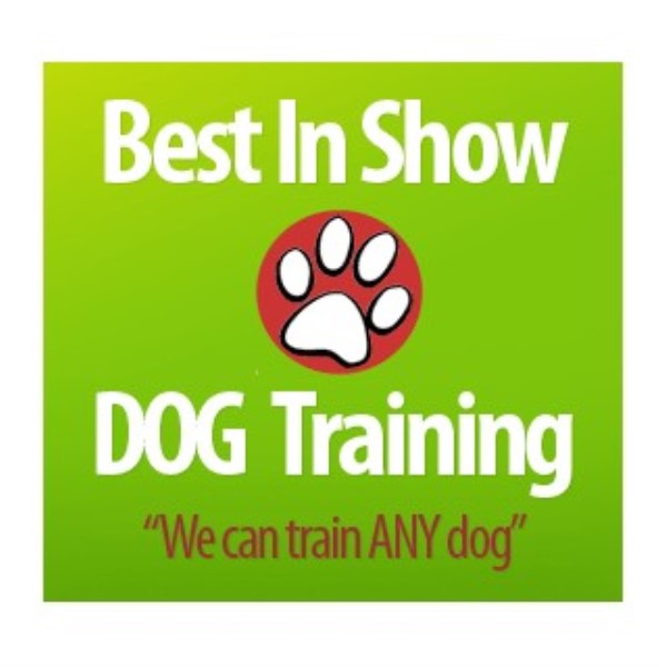 Best In Show Dog Training New Rochelle, New York 10804