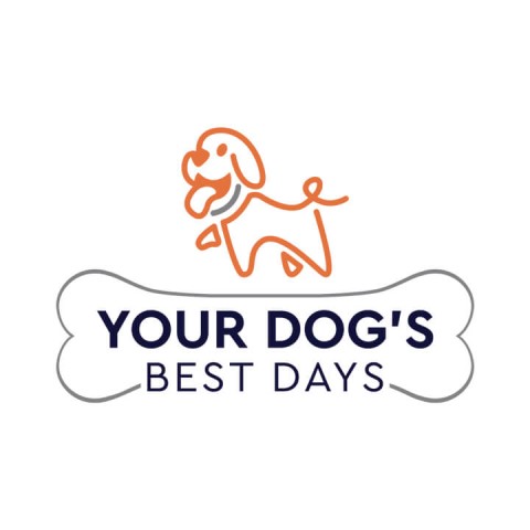 Your Dog's Best Days