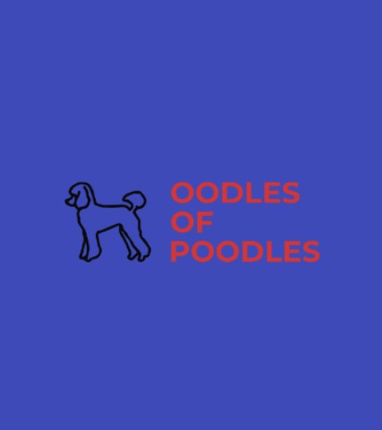 Oodles of Poodles