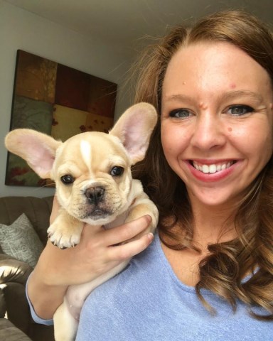 French Bulldog puppy dog for sale in houston, Texas
